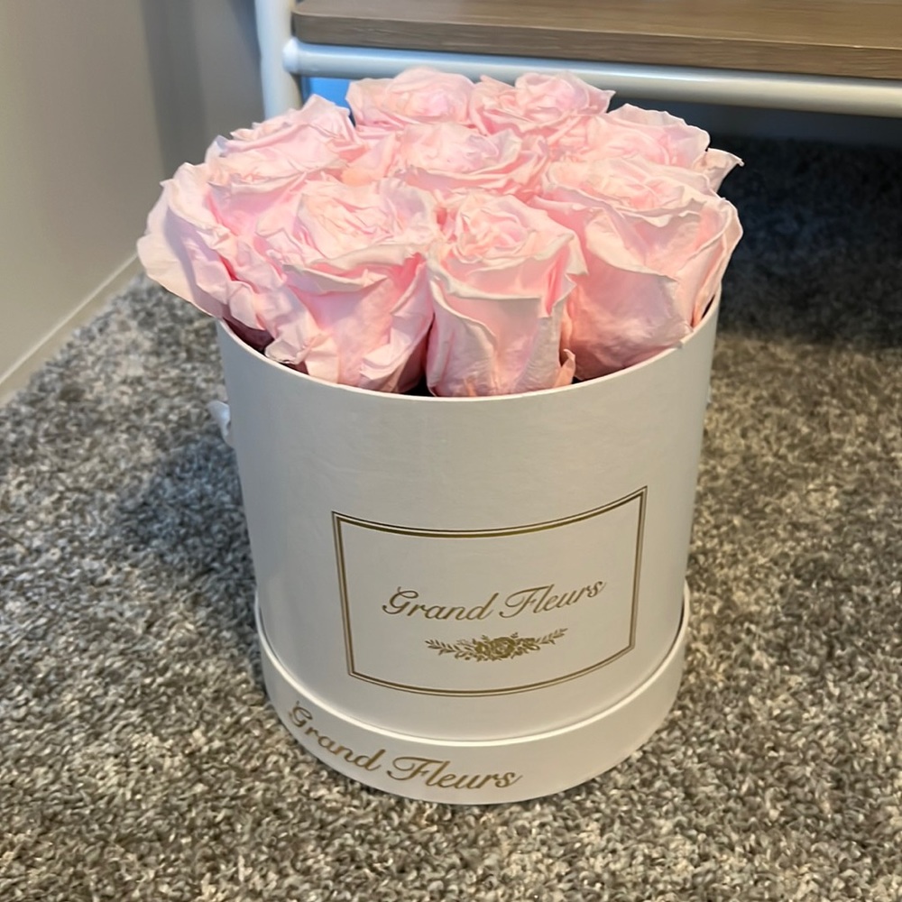 Roses that last forever